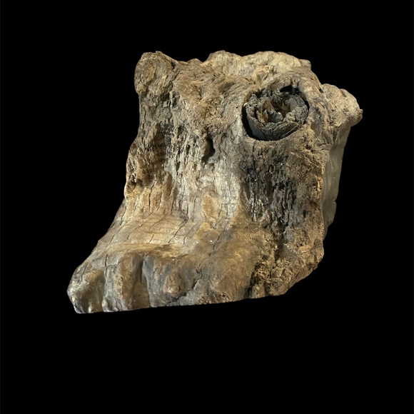 VTG Hand Carved Wood Coastal Bird Sculpture Driftwood Heron Whimbrel Cormorant - Picture 5 of 13